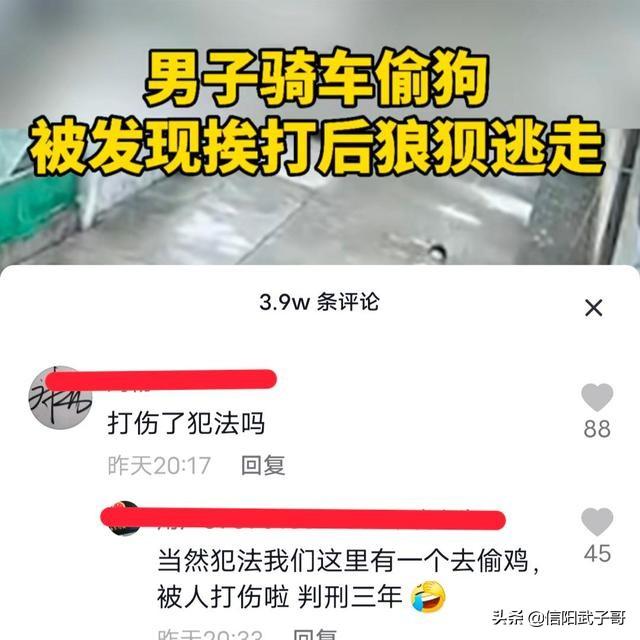 山东枣庄一男子骑车偷狗，逃跑时被拍一铁锹，网友：打出事算谁的