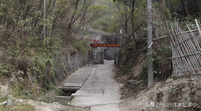 长沙宁乡密林中有个洞好神秘，曾驻扎过情报部队，如今用来种蘑菇