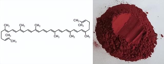 现代温室番茄栽培技术：修剪叶子和补光提高产量的可行性措施