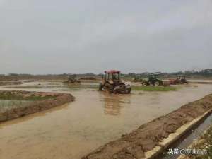 潜水莲藕种植视频播放(大岭乡村心村：不负春光种藕忙，乡村振兴产业旺)