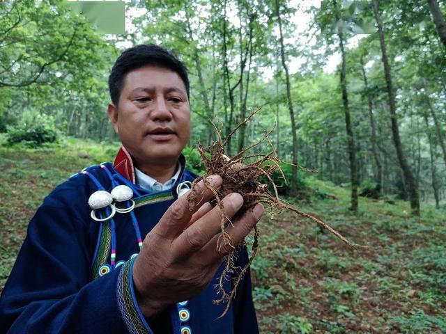 科技助力，大凉山村民走出自己的致富路