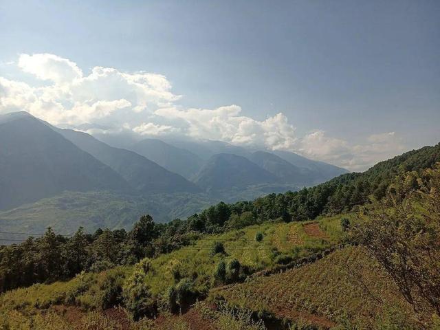 科技助力，大凉山村民走出自己的致富路