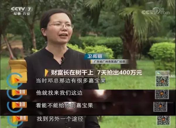 看中一棵开价40万的果树，果子却一周就烂，这钱怎么赚？