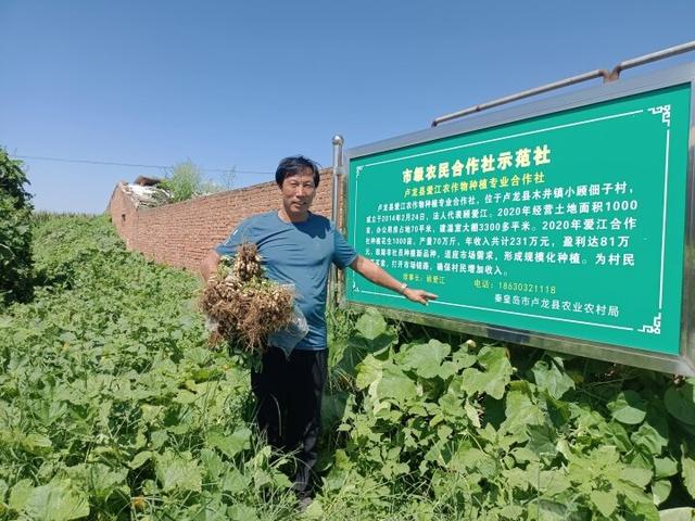 “种养结合”蹚出来一条致富路