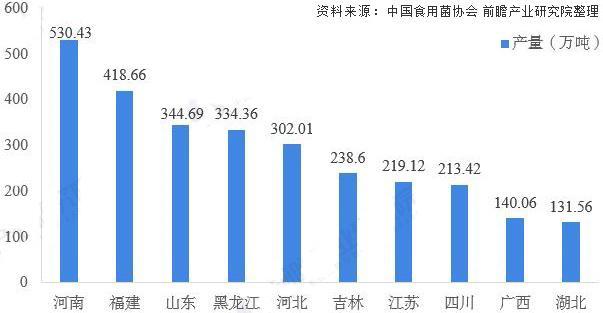 宅家种蘑菇︱网购菌包你了解多少！怎样才能收获更多更快？