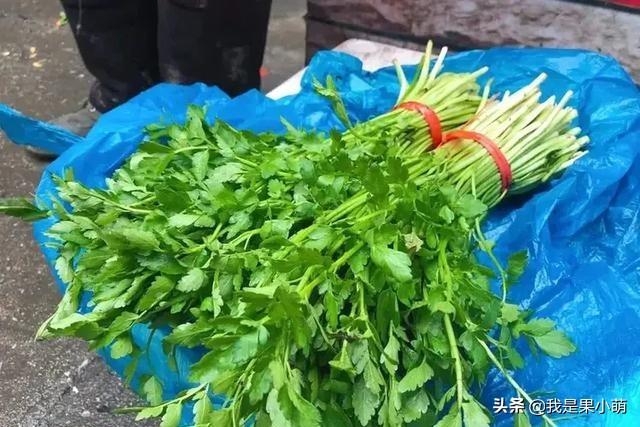 长在水里的4种野菜，味道鲜嫩无比，其中有一种现在挖正是好时候