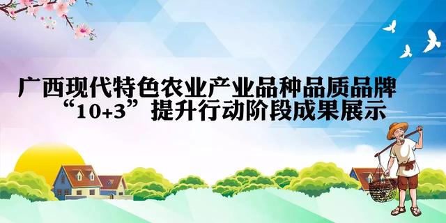 「10+3」食用菌产业：“小蘑菇”逐步发展为“大产业”