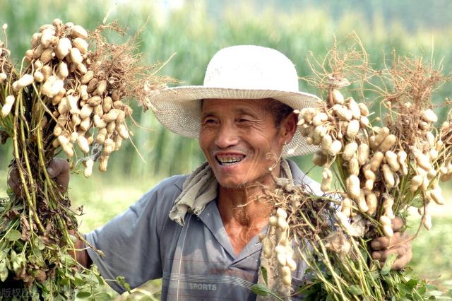 沙土种植什么好？4类作物很适合，更容易获得优质丰产高收益