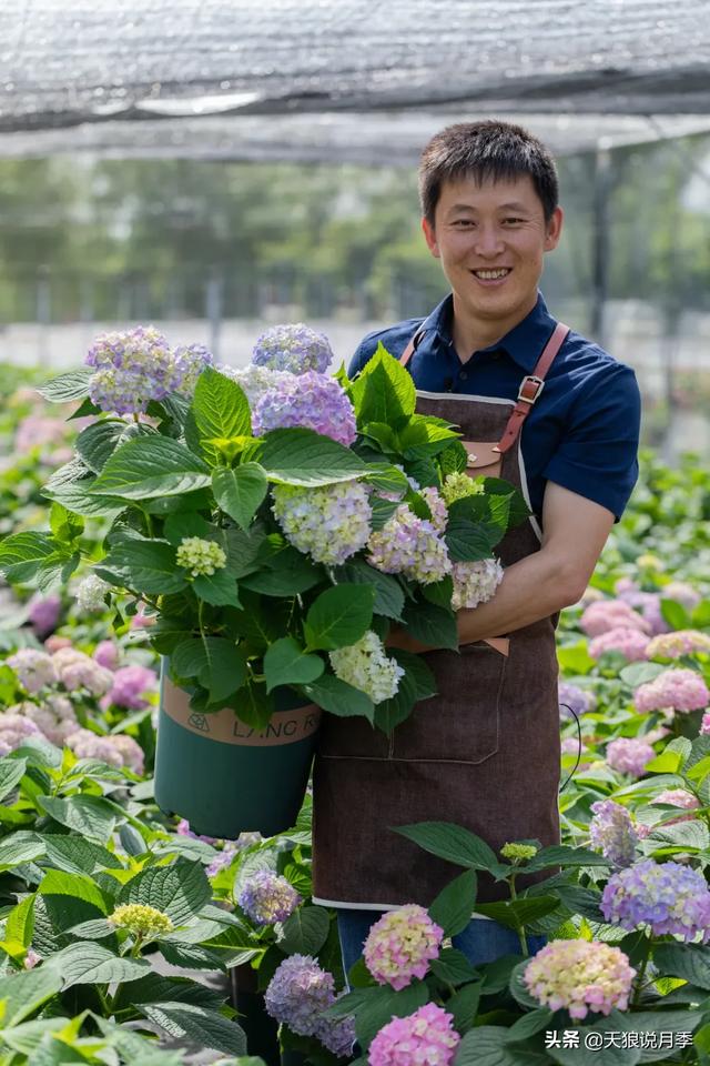 空间小？采光差？来跟我一起在北阳台种藤本，造花园吧