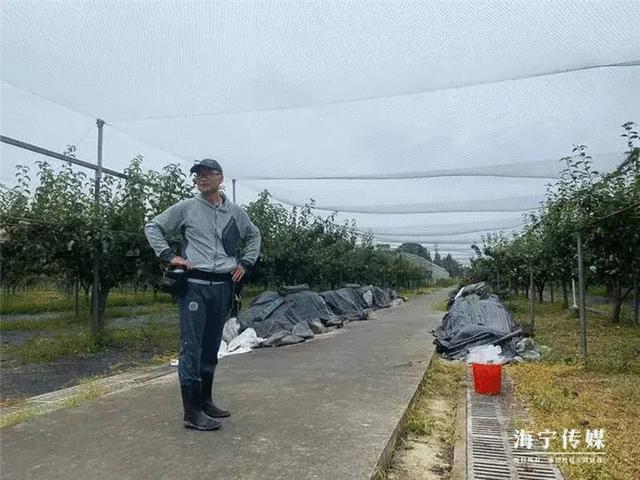 浙大博士在海宁农村13年守一片果园，当红的这水果藏着秘密