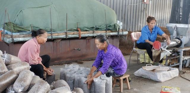 黄平：发展特色食用菌产业 助力乡村振兴“加速跑”