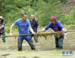 瓜蒌的种植方法和时间视频(啃下“硬骨头”奋斗不停歇)