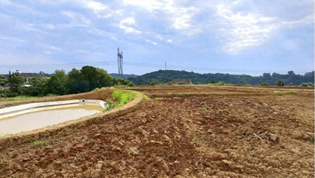 全国耕地抛荒程度排名西南地区最严重，部分地区占37.9%，江苏最?