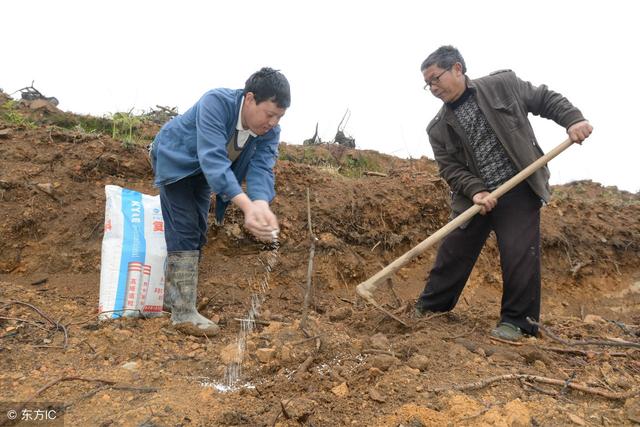 为什么说“春栽果树在于早”，该早到什么时候才适合？晚了会咋样