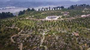 佛手柑种植前景(“万亩石漠”变“药乡”：四川乐山喀斯特地貌上创造出“石缝经济”)