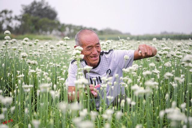 生活污水治理 为乡村增颜值提气质