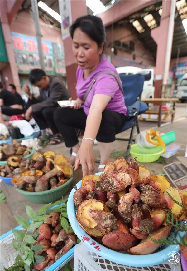 云南野生菌上市啦！价格……