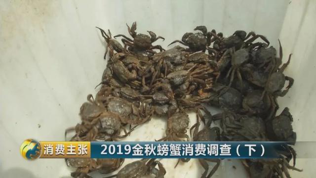 不知怎样辨别真假阳澄湖大闸蟹？记住这一个方法就够了→