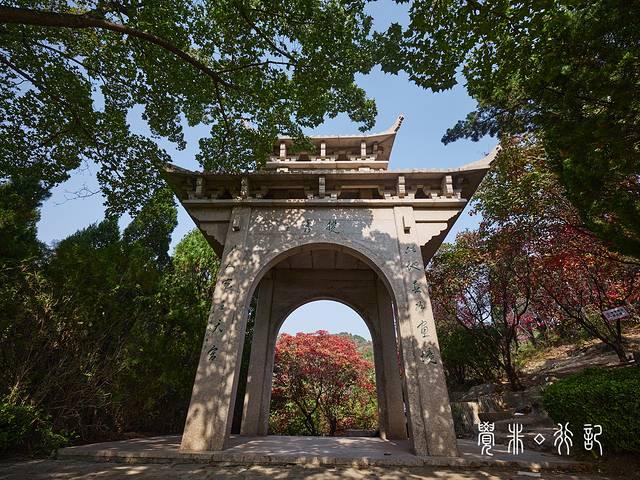 特种兵游山东，吃美食看美景