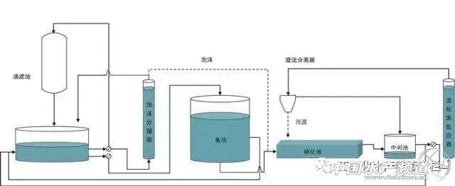 以色列工业化水产养殖一览