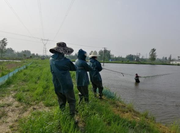 河南一高校学生期末考“撒网捕鱼”火了！水产养殖专业人才缺口大，就业后年薪可达15万