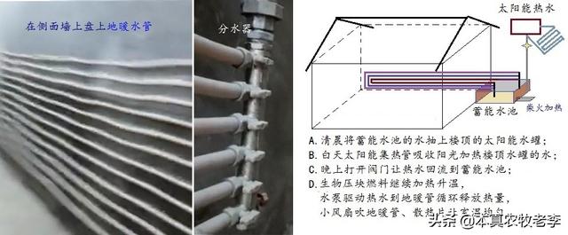 育雏室保温设施的新组合：麻袋+保温灯+水暖，请养鹅人笑纳