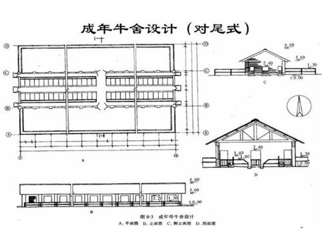 养牛场设计和建设方案