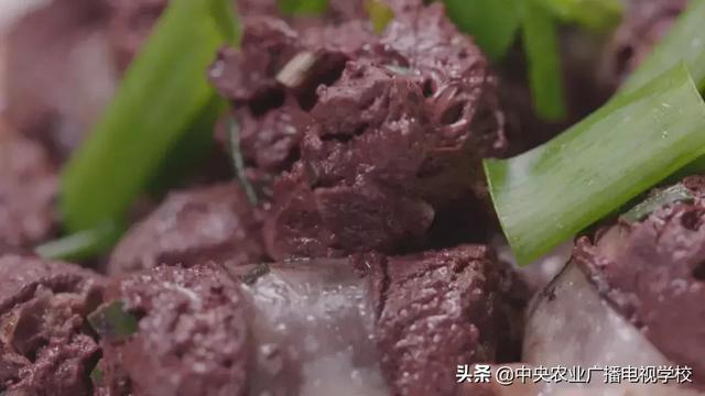 【农广天地】一棚两用 猪菜共生