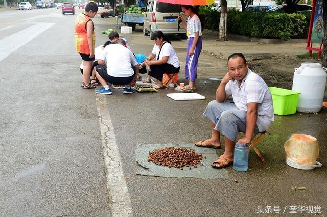 茌平有了知了猴市场 人人爱吃知了猴