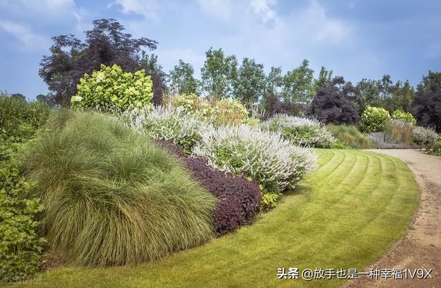 土鸡养殖场牧草的种植与技术解析！(一)