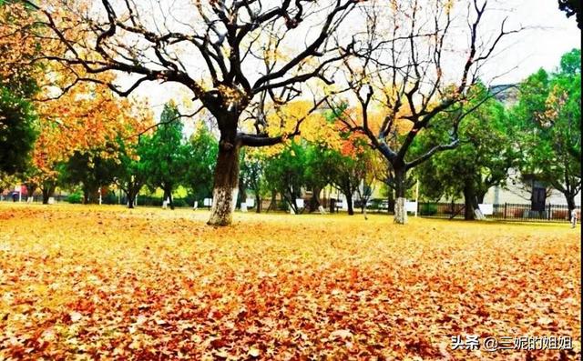 我家有个后花园，一年四季基本都有花开，你知道吗？