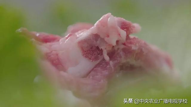 【农广天地】一棚两用 猪菜共生