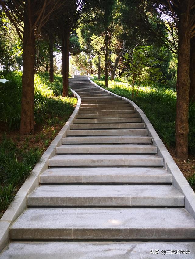 我家有个后花园，一年四季基本都有花开，你知道吗？