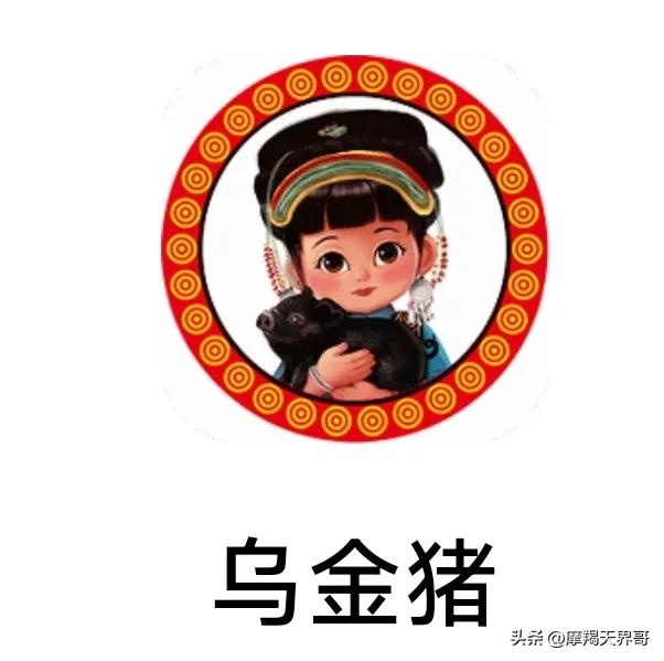 山河乌金猪认养骗局已限制提现，离崩盘仅一线之遥