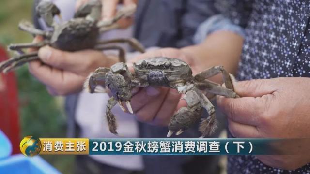 不知怎样辨别真假阳澄湖大闸蟹？记住这一个方法就够了→