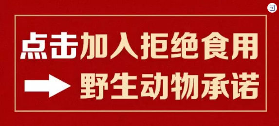 “拒食野生动物”，征集令来了