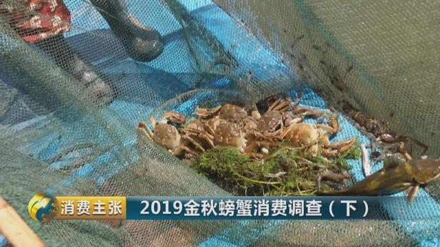 不知怎样辨别真假阳澄湖大闸蟹？记住这一个方法就够了→