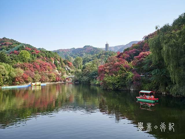 特种兵游山东，吃美食看美景