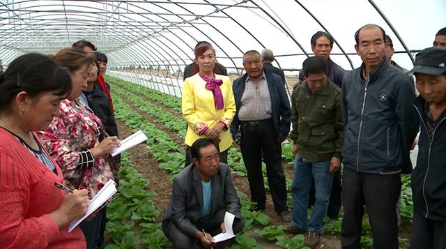 请你停止讹传！农民考农艺工证好处多，但不是要考农民证或种地证