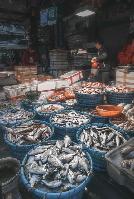 今日开海，5种海鱼千万别错过，无法人工养殖，都是国内海域产的