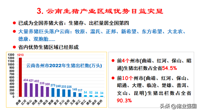 鲁绍雄：云南年出栏超4500万头猪，将打造中国优质种猪生产基地和重要生猪供应基地