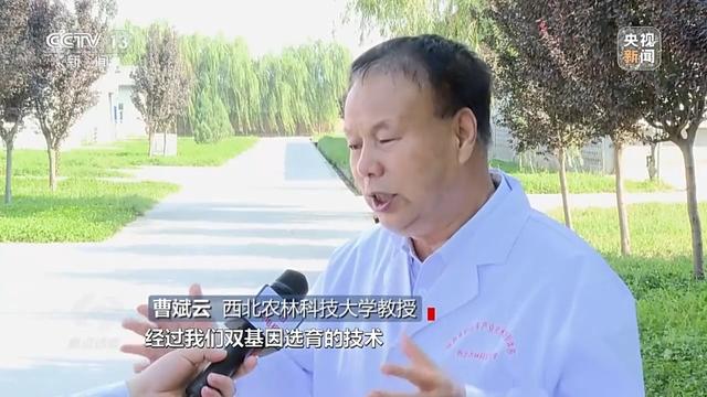 焦点访谈丨深耕科技沃土 培植智慧农业