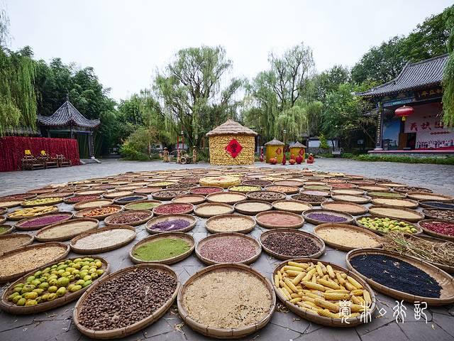 特种兵游山东，吃美食看美景