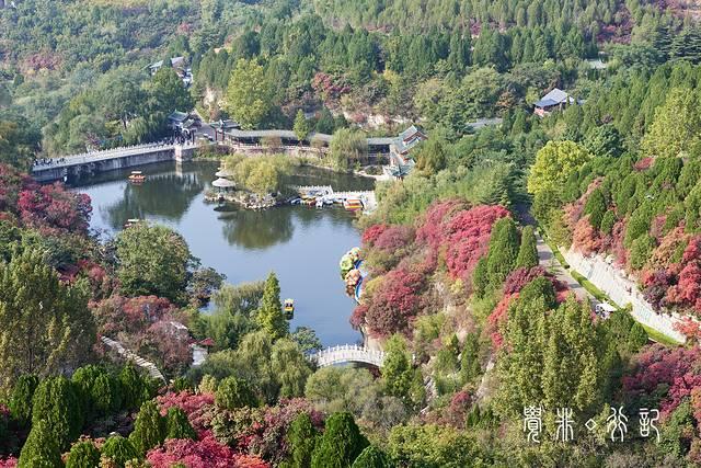 特种兵游山东，吃美食看美景