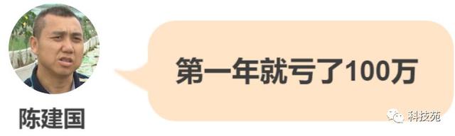 一亩田四份收入，小青蛙变出大财富！