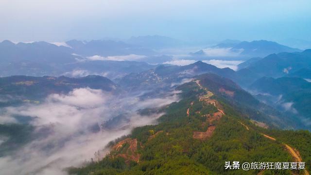 四川七个大学生创业养鸡？一干就是15年，养鸡场都能成了旅游景点