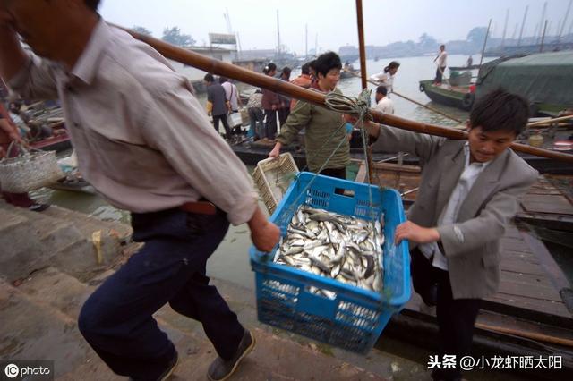 小龙虾养殖过程中，养殖户对虾田杂鱼的处理要有针对性的措施