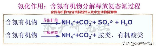 水产养殖中水质污染的核心是什么？