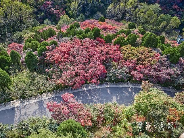 特种兵游山东，吃美食看美景