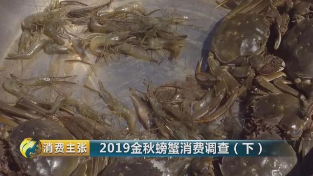 不知怎样辨别真假阳澄湖大闸蟹？记住这一个方法就够了→